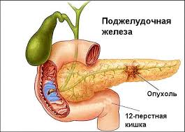показания к узи поджелудочной железы